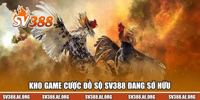 Kho game cược đồ sộ Sv388 đang sở hữu