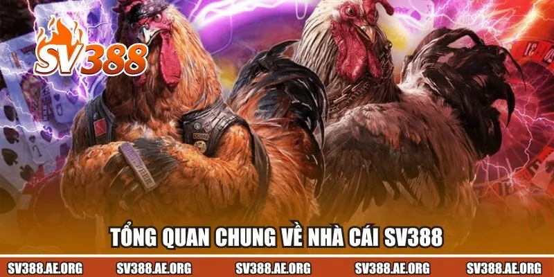Tổng quan chung về nhà cái Sv388