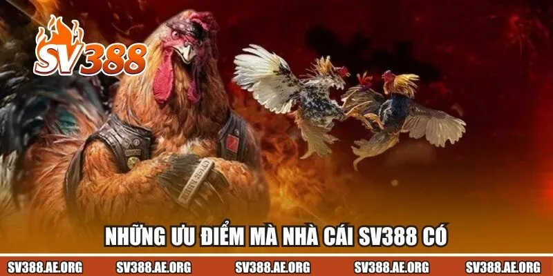 Những ưu điểm mà nhà cái Sv388 có